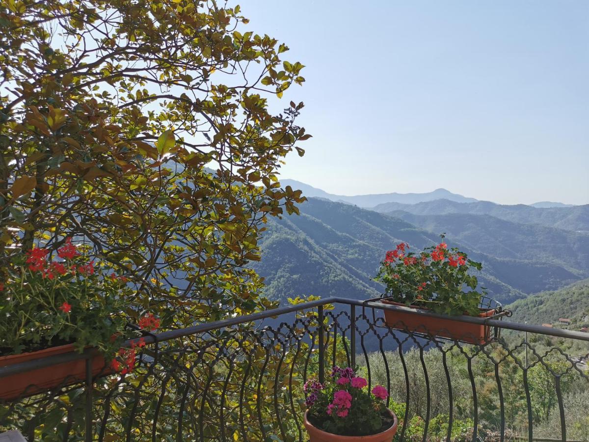 L'Albero Del Cioccolato Bed & Breakfast Pigna Dış mekan fotoğraf